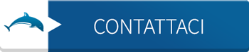 Contattaci